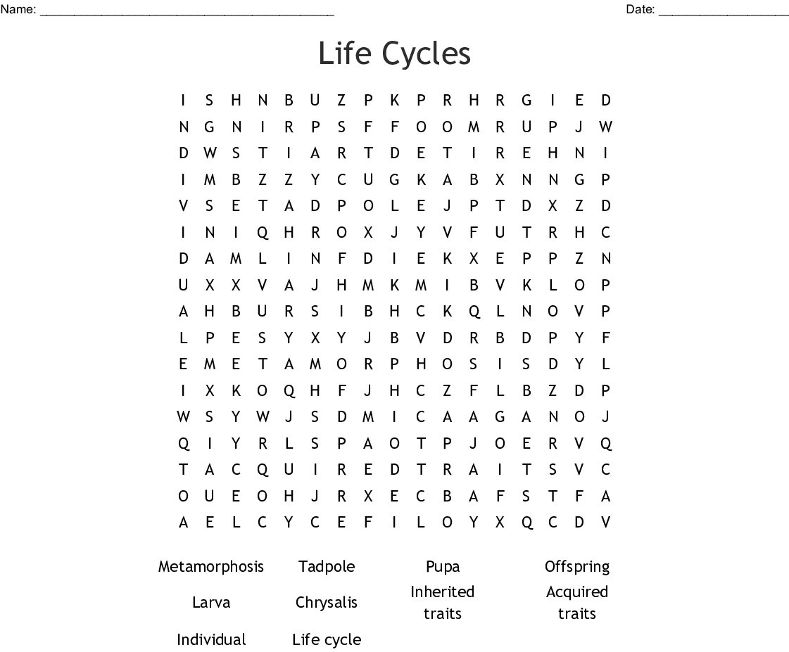 Life Cycles Word Search - Wordmint