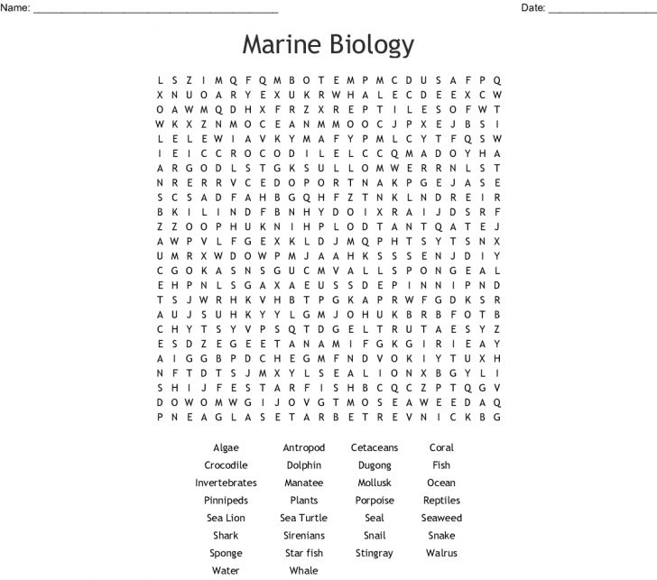 marine-biology-word-search-wordmint-word-search-printable