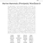 Marine Mammals (Pinnipeds) Wordsearch   Wordmint