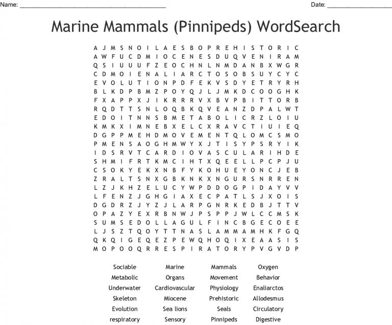 marine-mammals-pinnipeds-wordsearch-wordmint-word-search-printable