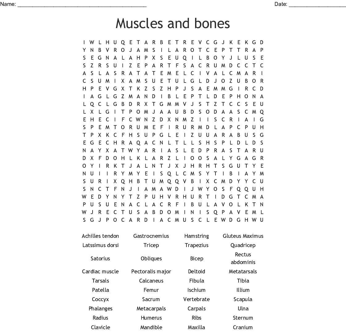 Muscles And Bones Word Search - Wordmint