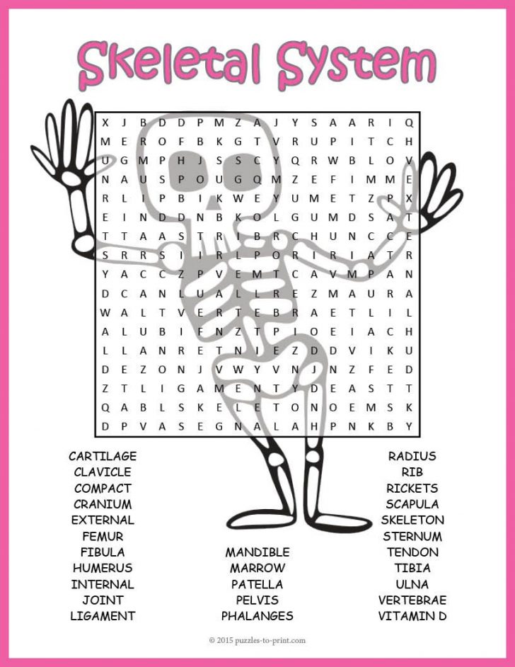 Skeletal System Word Search Printable