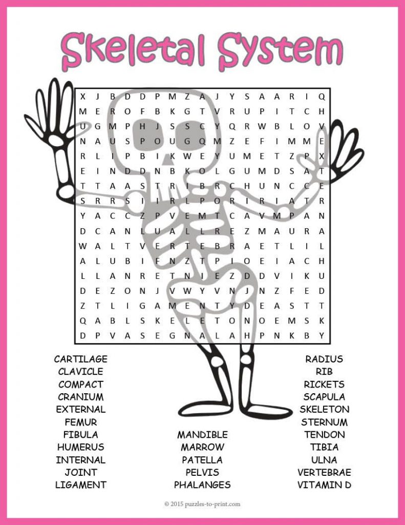 No Prep Skeletal System Activity Human Skeleton Word Word Search