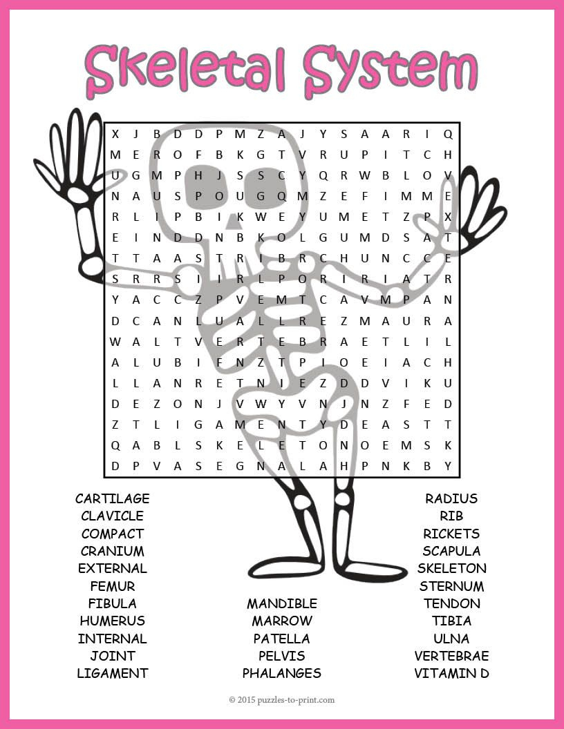 No Prep Skeletal System Activity Human Skeleton Word Word Search Printable