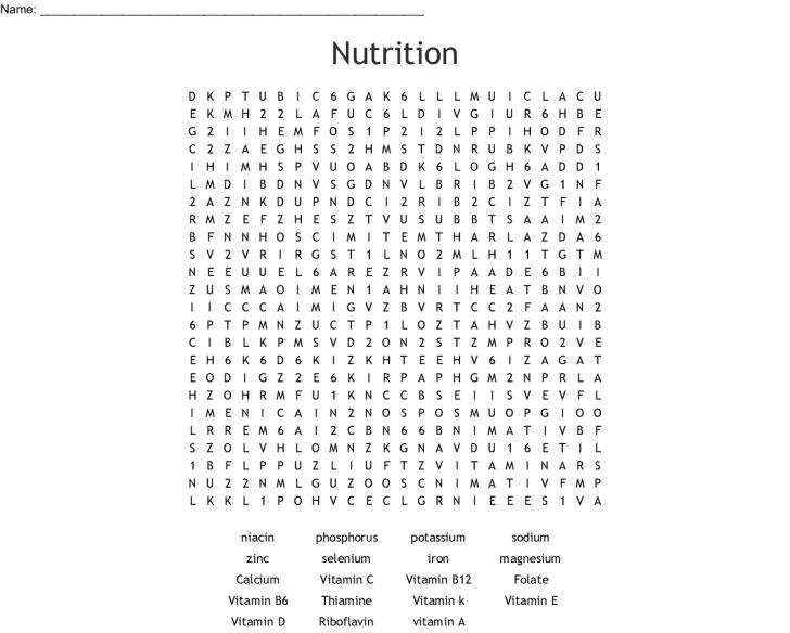 Nutrition Word Search Wordmint Word Search Printable