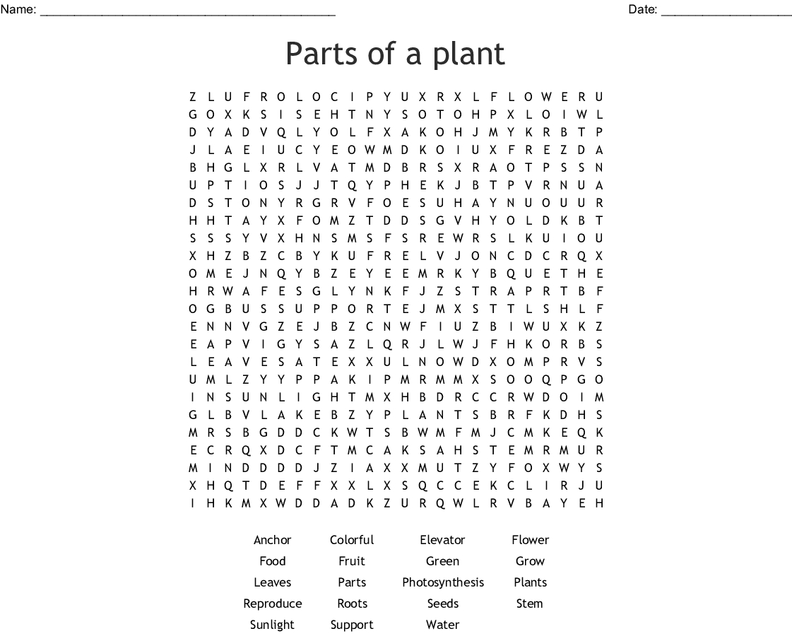 Parts Of A Plant Word Search - Wordmint