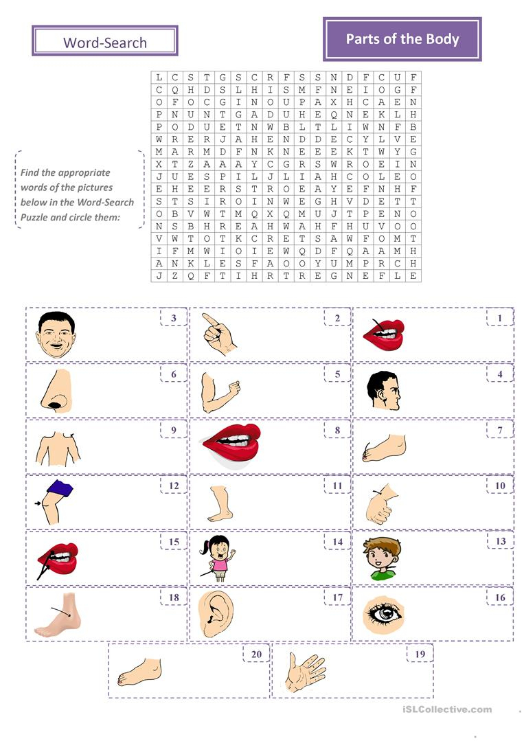 Parts Of The Body Word-Search Puzzle - English Esl