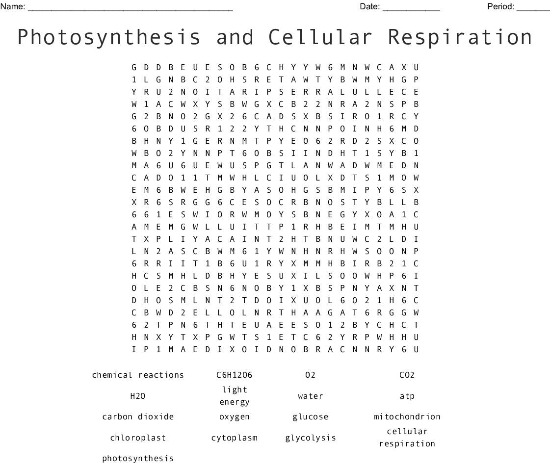 Photosynthesis And Cellular Respiration Word Search - Wordmint