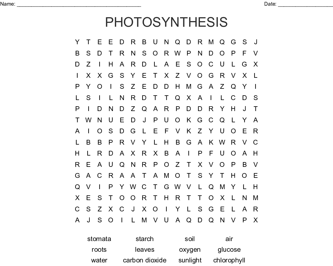 Photosynthesis Word Search - Wordmint