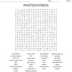 Photosynthesis Word Search   Wordmint