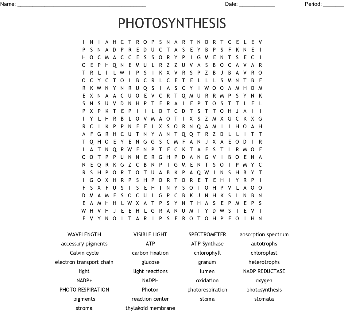 Photosynthesis Word Search - Wordmint