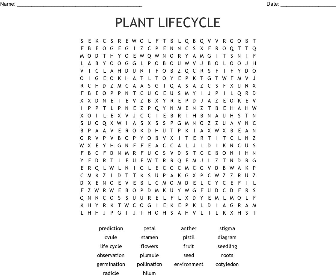 Plant Lifecycle Word Search - Wordmint