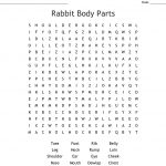 Rabbit Body Parts Word Search   Wordmint