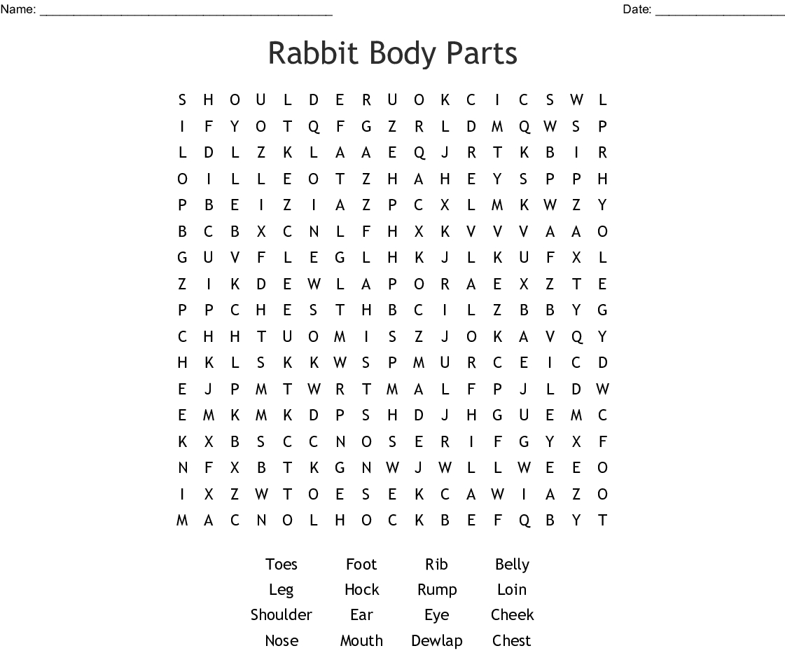 Rabbit Body Parts Word Search - Wordmint