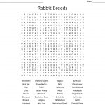 Rabbit Breeds Word Search   Wordmint