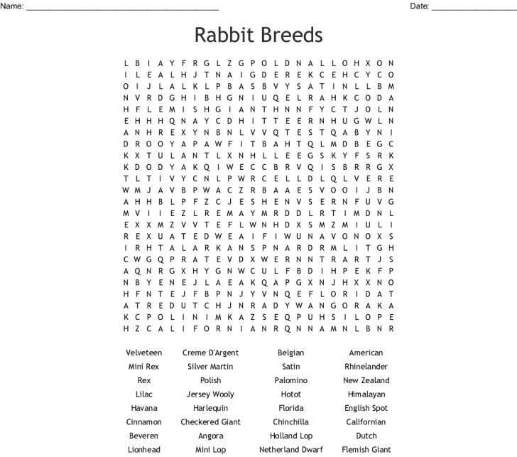 Rabbit Breeds Word Search - Wordmint | Word Search Printable