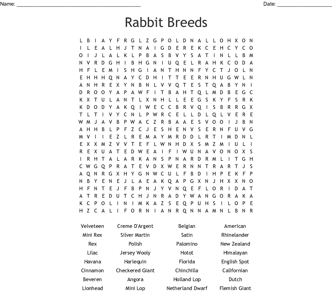 Rabbit Breeds Word Search - Wordmint
