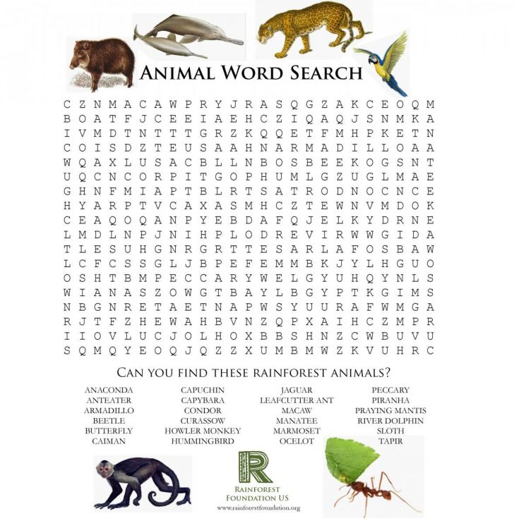Rainforest Word Search Printable