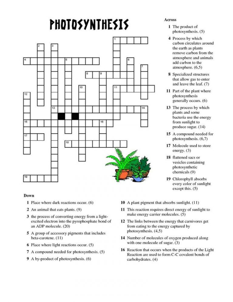 Read More Photosynthesis Worksheet Photosynthesis Word Search 