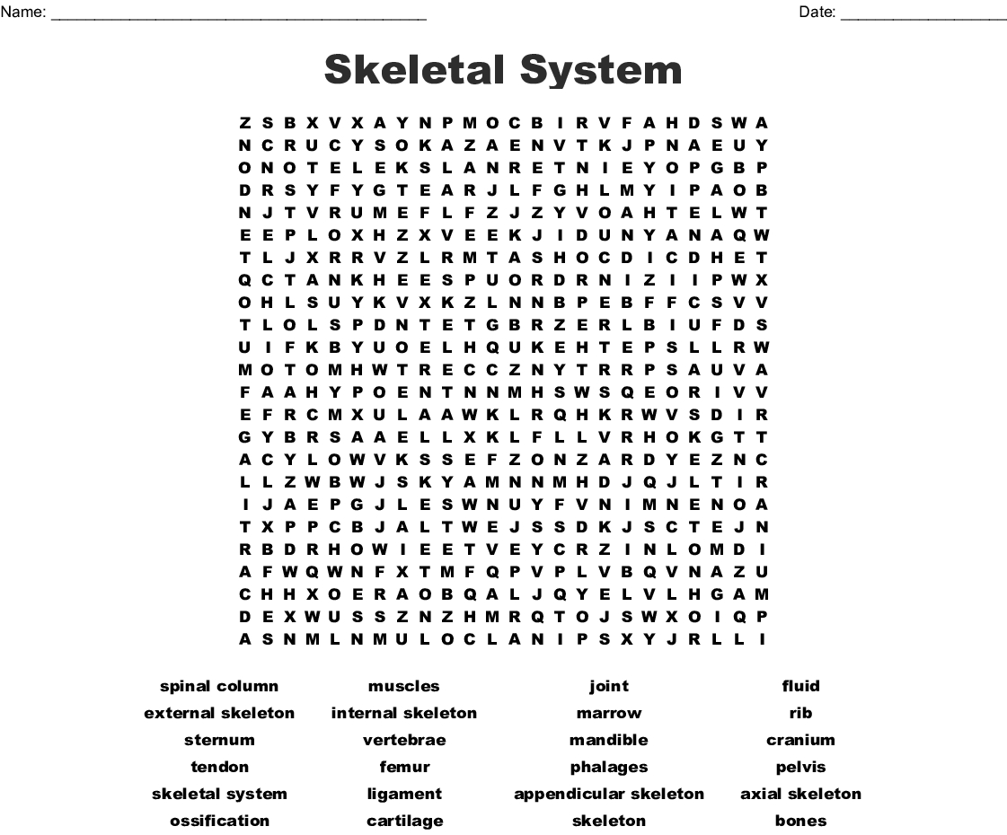 Skeletal System Word Search Printable Word Search Printable - kulturaupice