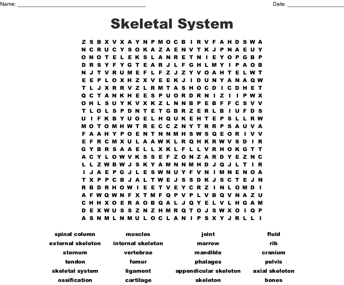 Skeletal System Word Search Printable Word Search Printable