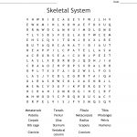 Skeletal System Word Search   Wordmint