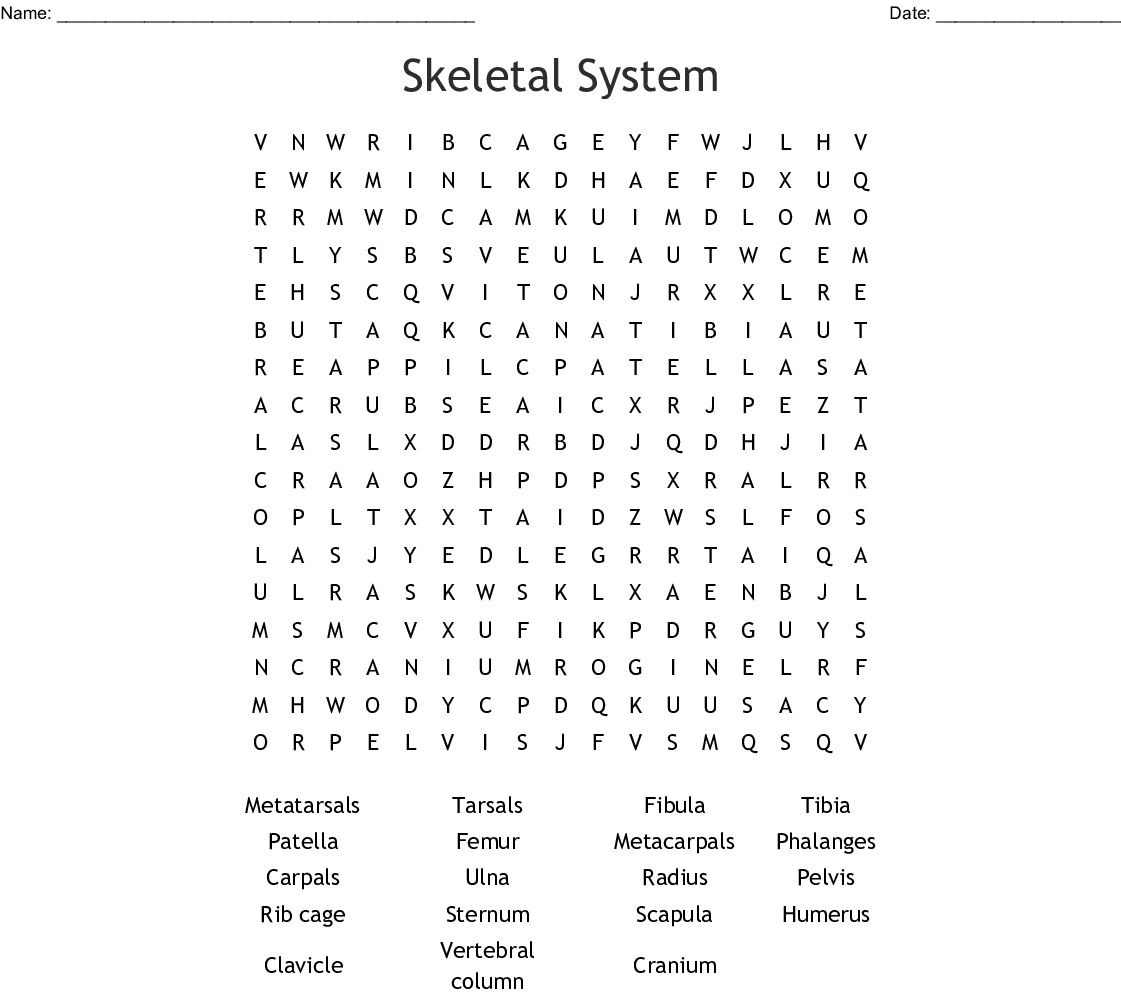 Skeleton Bones Word Search - Wordmint