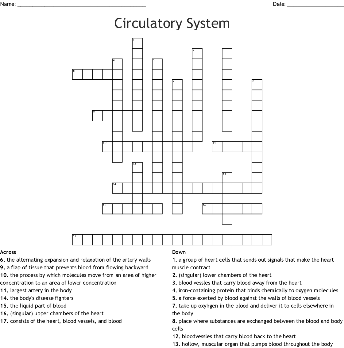 The Circulatory System Word Search - Wordmint
