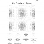 The Circulatory System Word Search   Wordmint