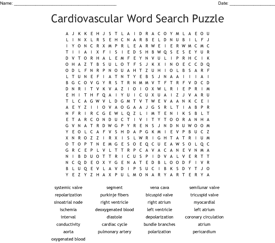 The Circulatory System Word Search - Wordmint