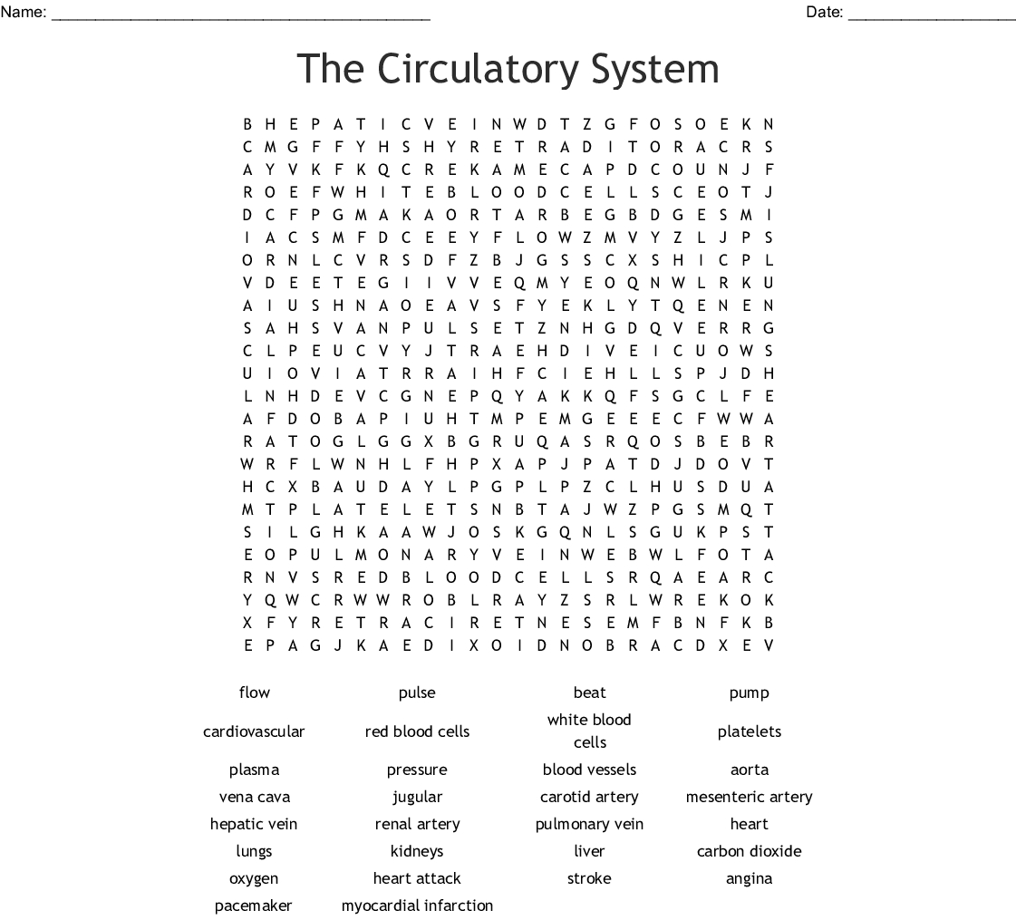 Circulatory System Word Search Printable