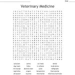 Veterinary Medicine Word Search   Wordmint