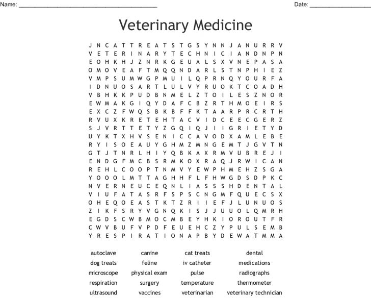 Medical Terminology Word Search Printables
