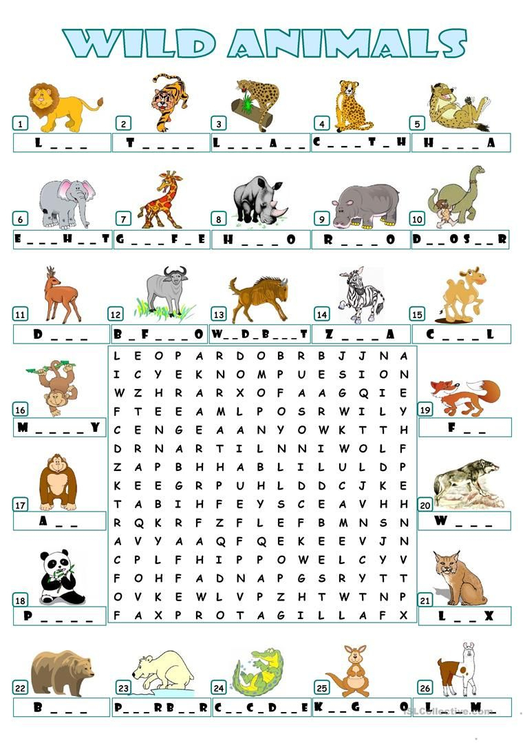 wild animals word search printable word search printable