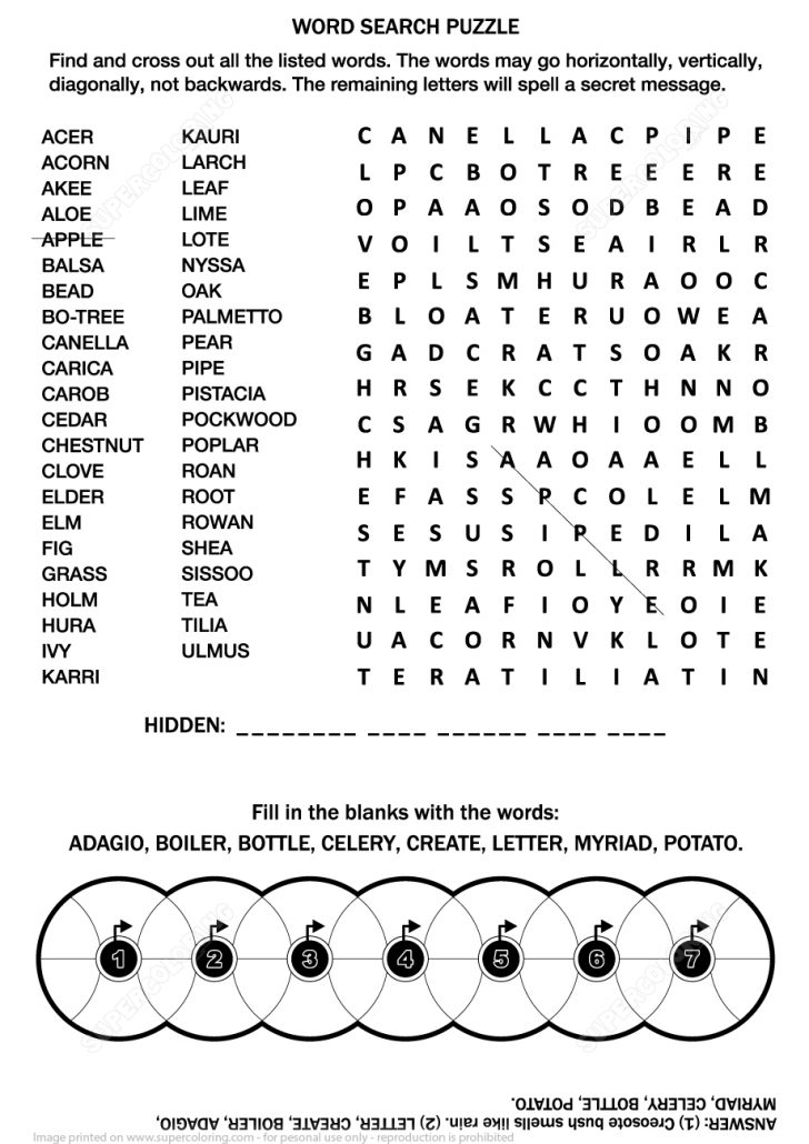 Word Search Printable Adult