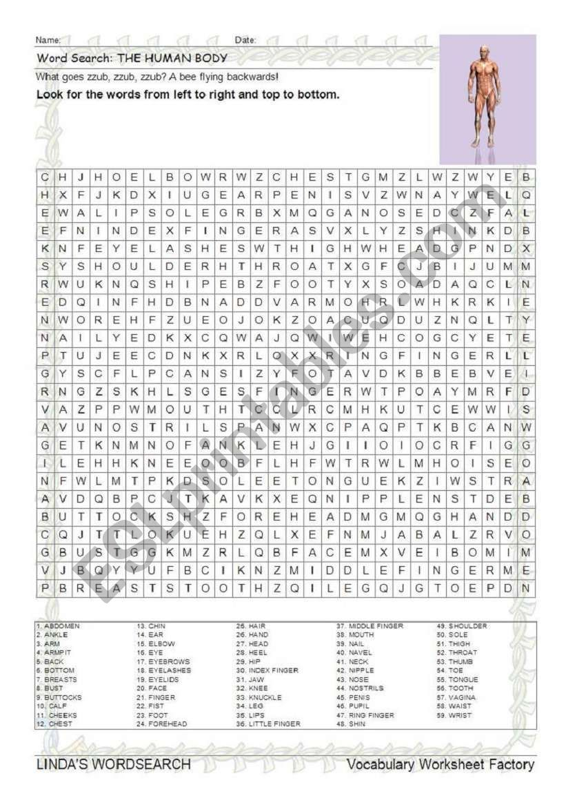 Wordsearch: The Human Body - Esl Worksheetpurpledragon