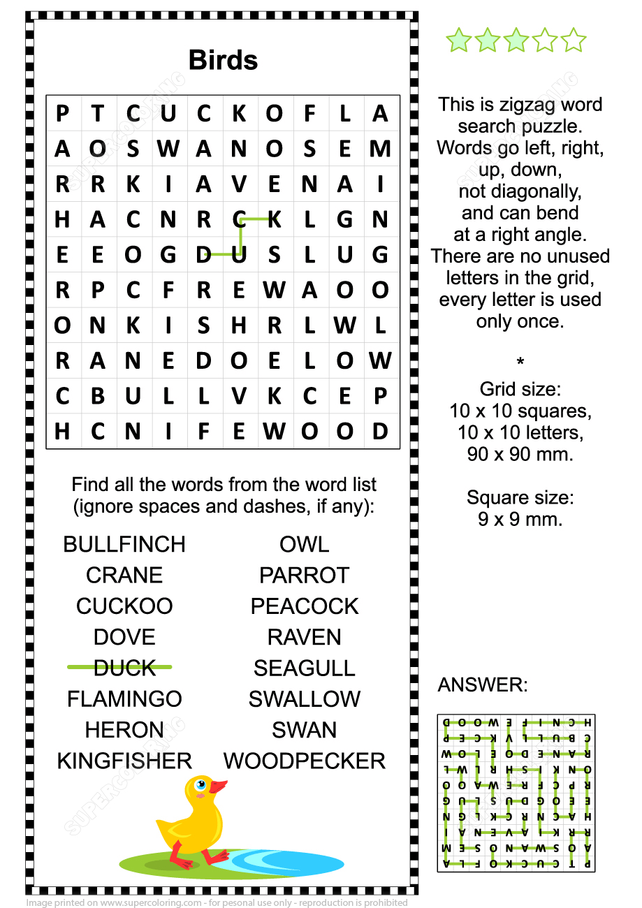 Zigzag Word Search Puzzle With Birds | Free Printable Puzzle